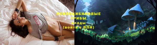 экстази Елизово