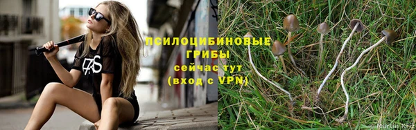 прущая мука Дмитровск
