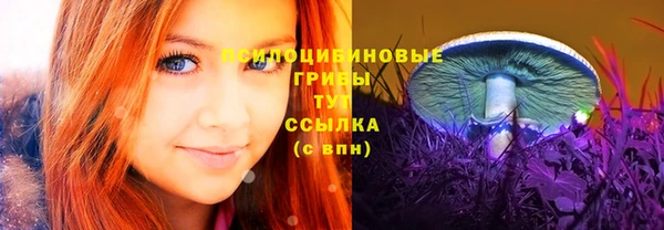 прущая мука Дмитровск