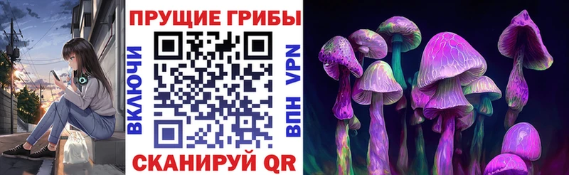Псилоцибиновые грибы Psilocybe  Купить  Инза 